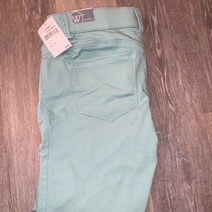 Wit and Wisdom Mint Jeggings